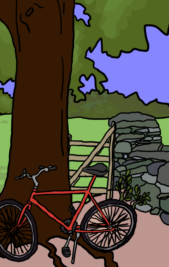 Bike Leaning on a Tree